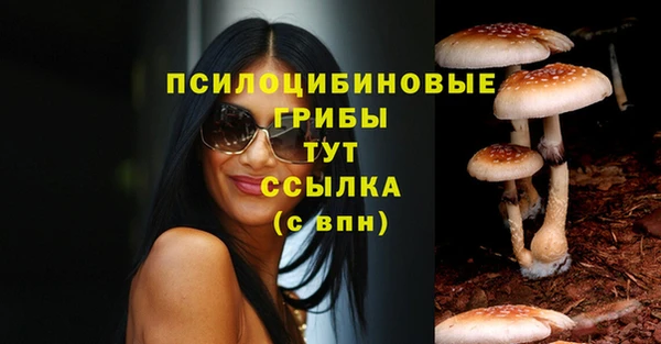 mix Козельск