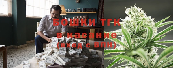 mix Козельск